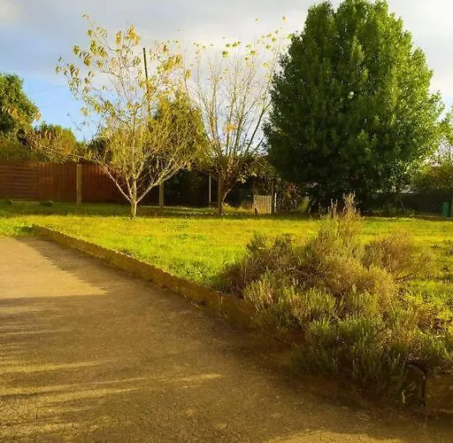 T'relax - Calme Et Lumineux Avec Jardin * Sablé-sur-Sarthe